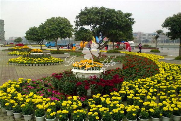 道路綠化養(yǎng)護