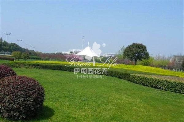 景觀綠化養(yǎng)護