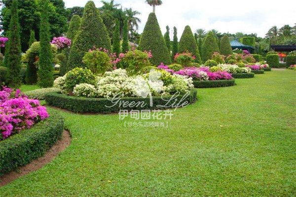 花園綠化養(yǎng)護