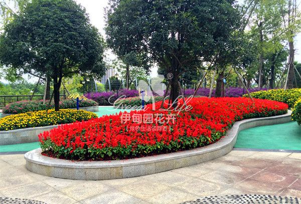 公園花草租擺養(yǎng)護