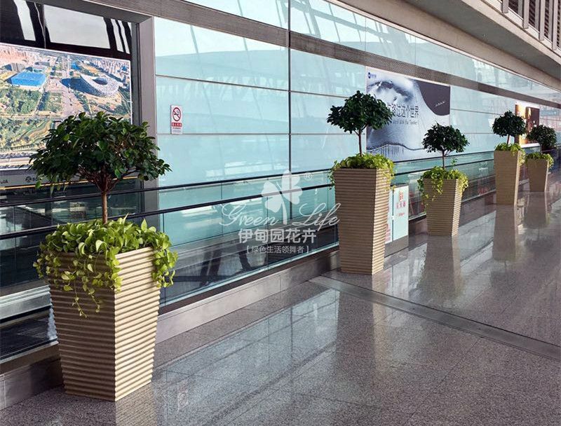 商場綠植物租賃