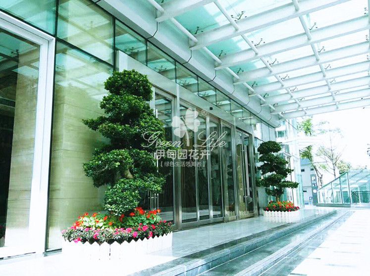 大廳門口綠植盆栽租賃