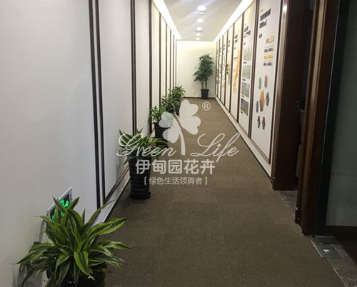 過(guò)道綠植租擺