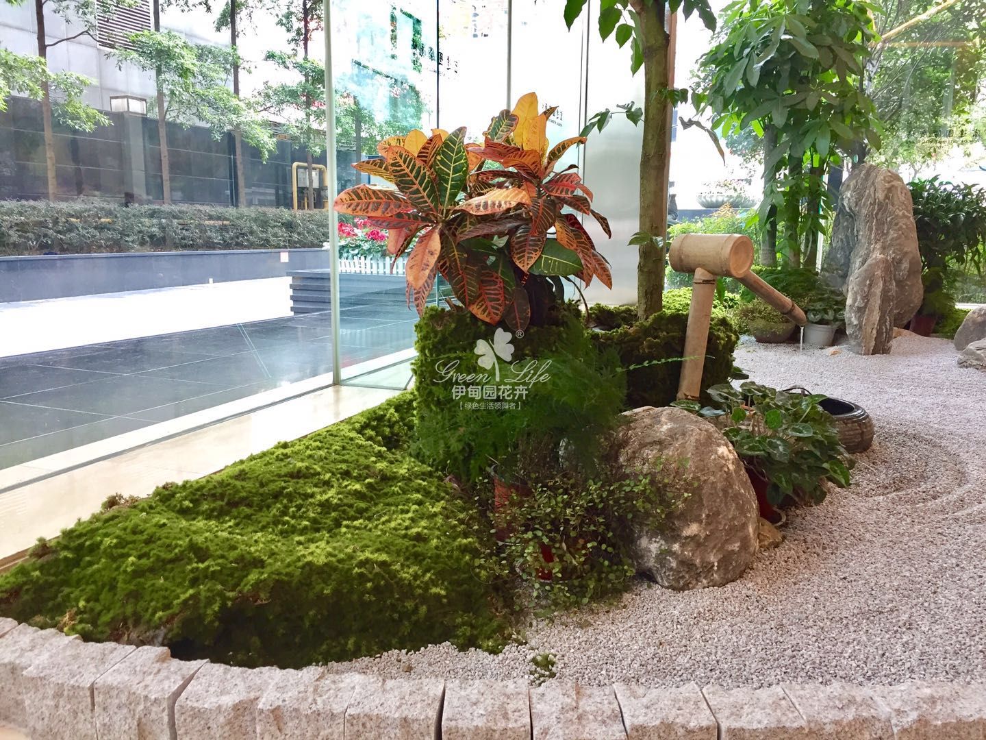 綠植創(chuàng)意造景