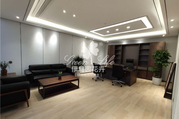 天府產(chǎn)城辦公室植物擺放案例