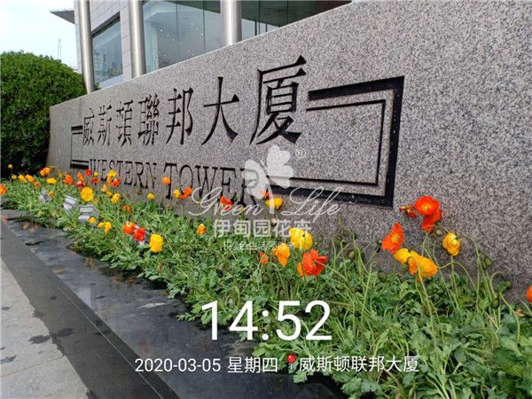 威斯頓聯(lián)邦大廈植物擺放案例