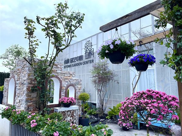 三天時(shí)間，完美蛻變，希桐園藝首屆藝術(shù)盆栽培訓(xùn)開始報(bào)名啦！