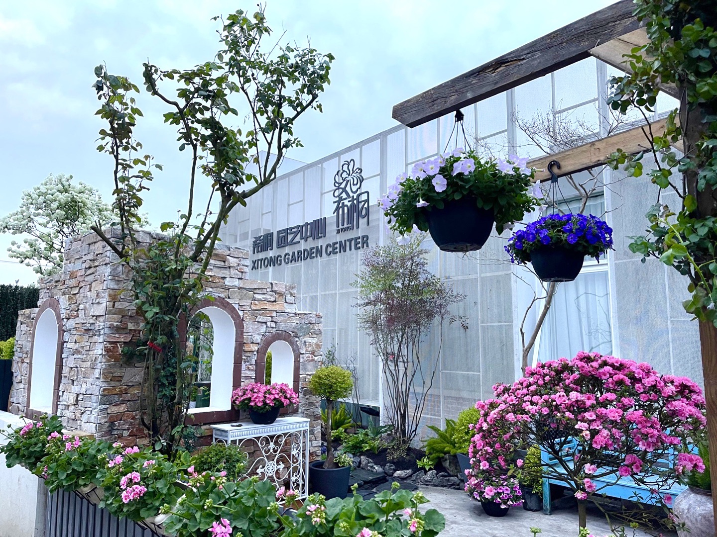 中國(guó)花卉協(xié)會(huì)家庭園藝分會(huì)正式成立！希桐園藝被授于分會(huì)理事單位！