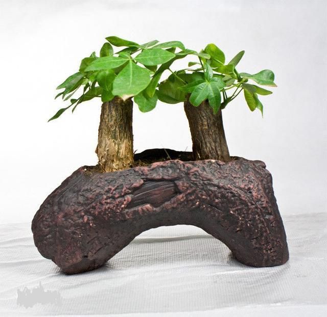 點(diǎn)擊打開原圖