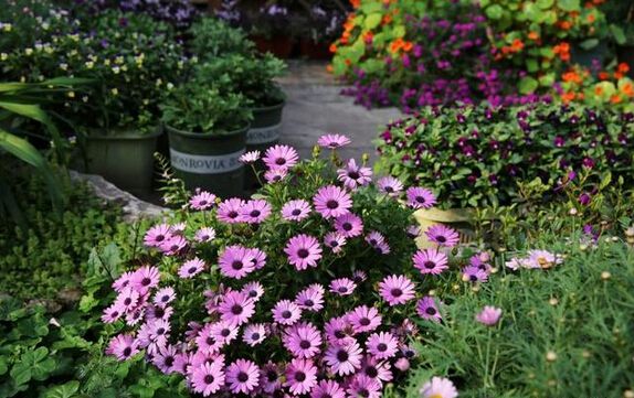 點(diǎn)擊打開(kāi)原圖