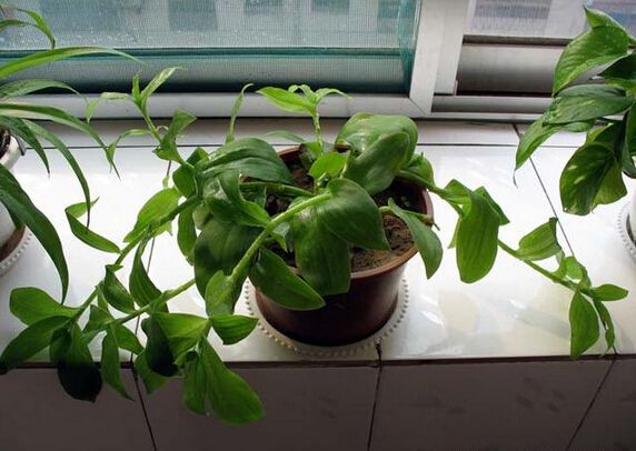 點(diǎn)擊打開(kāi)原圖