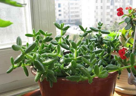 點(diǎn)擊打開(kāi)原圖