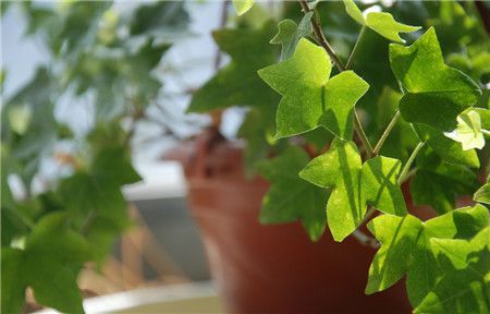 點(diǎn)擊打開原圖